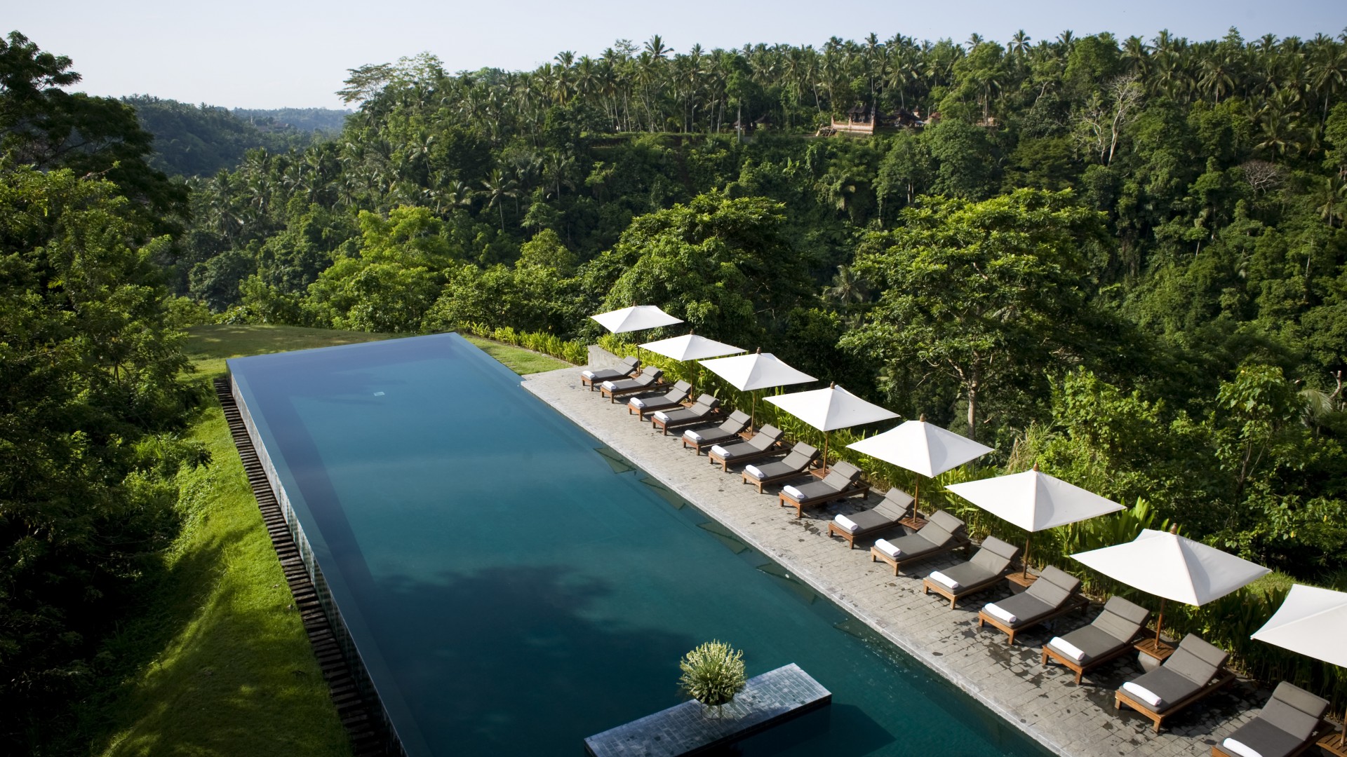 Alila Ubud, Bali, Indonesia, The best hotel pools 2017, tourism, travel, resort, vacation, pool, sunbed, forest (horizontal)