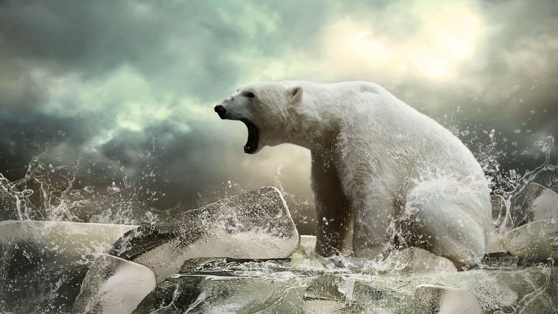 Polar bear, ice, roar, ocean (horizontal)