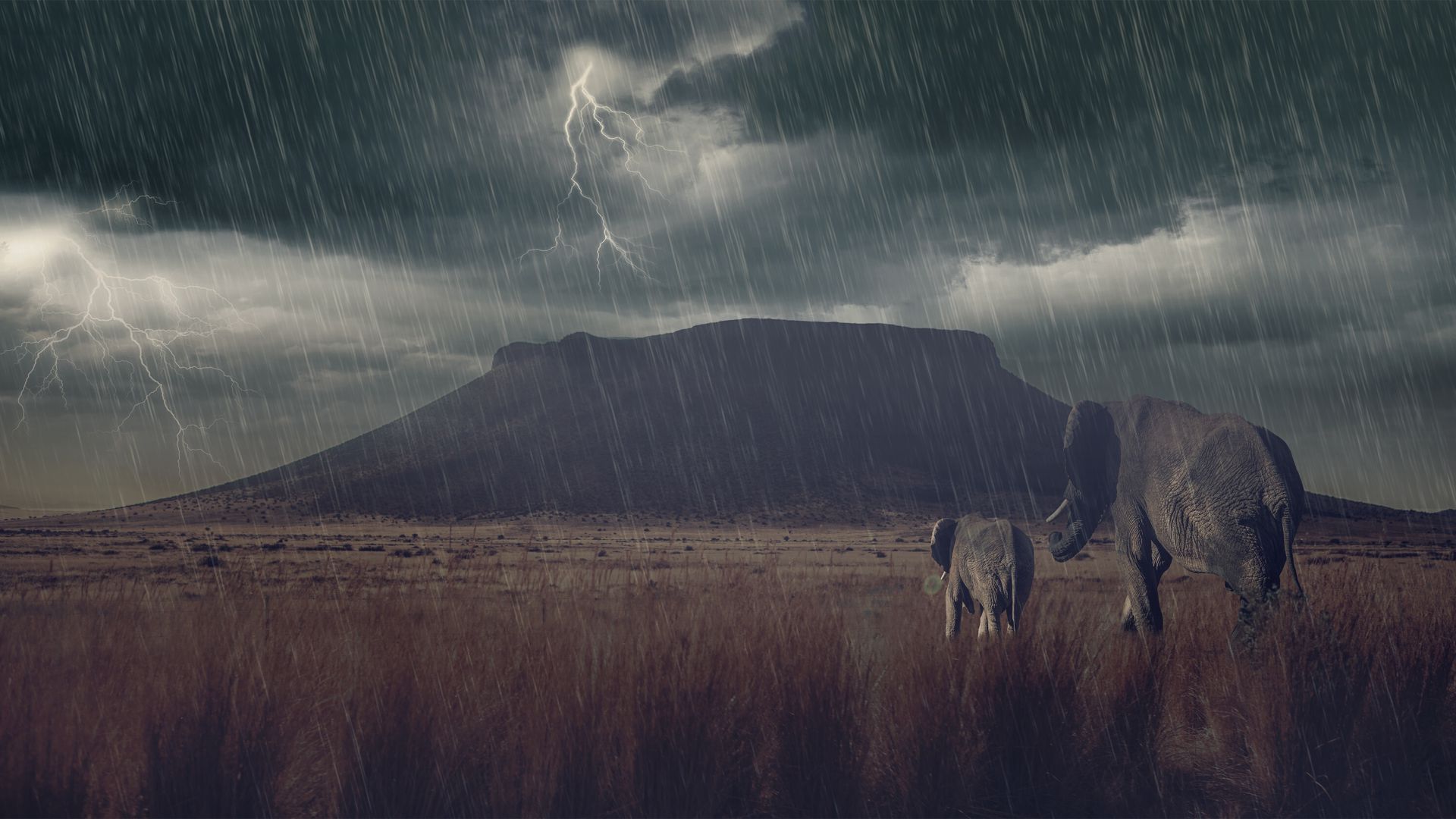 Elephant, mountains, storm, meadow (horizontal)