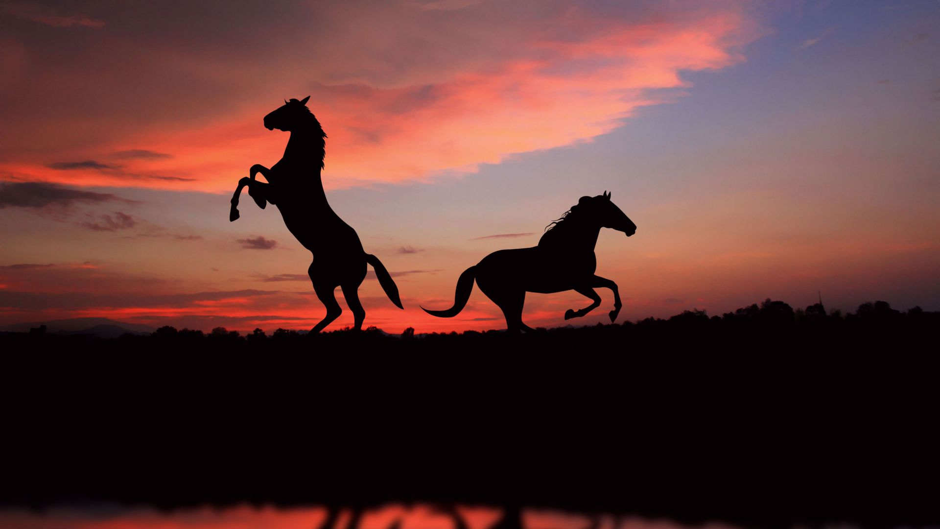 Horse, night, sunset, cute animals (horizontal)