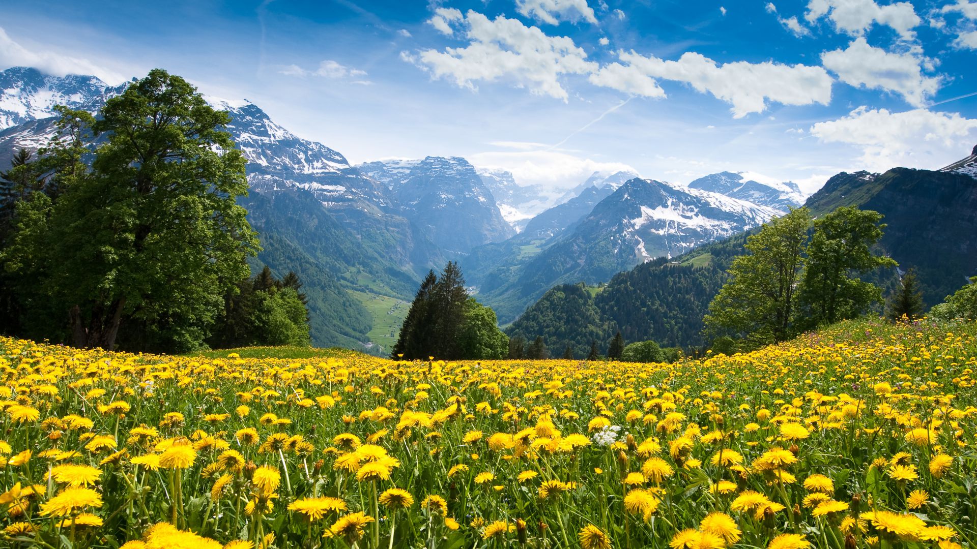 Alps, 4k, HD wallpaper, France, mountains, dandelion, meadows, sky (horizontal)