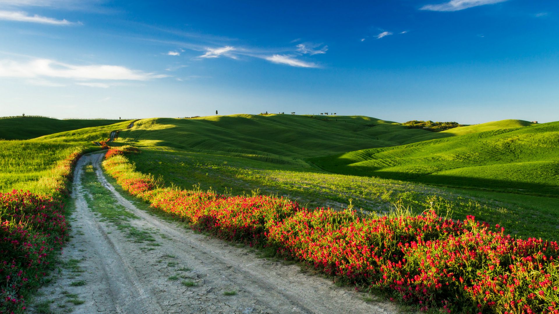 Tuscany, 4k, HD wallpaper, Italy, Meadows, road, wildflowers, sky (horizontal)