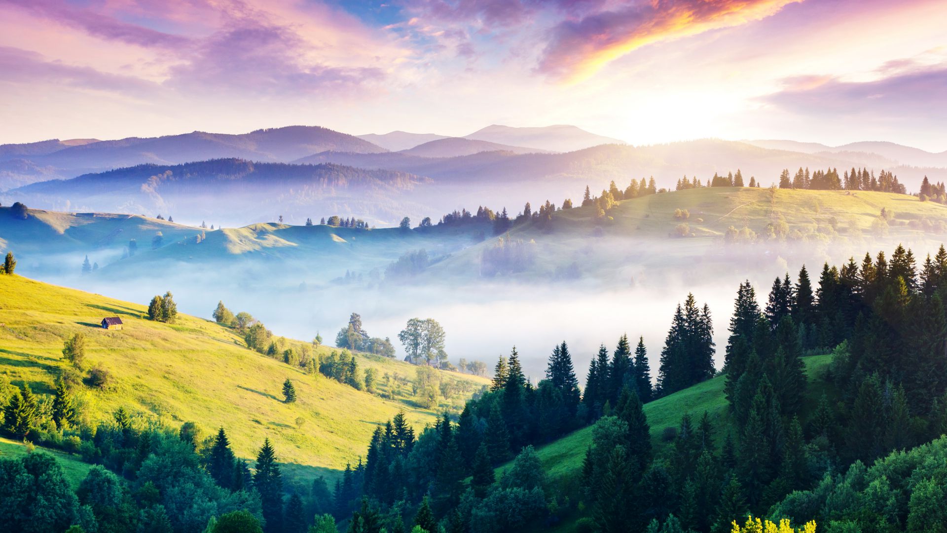 Carpathians, 5k, 4k wallpaper, pines, hills, sunset, fog (horizontal)
