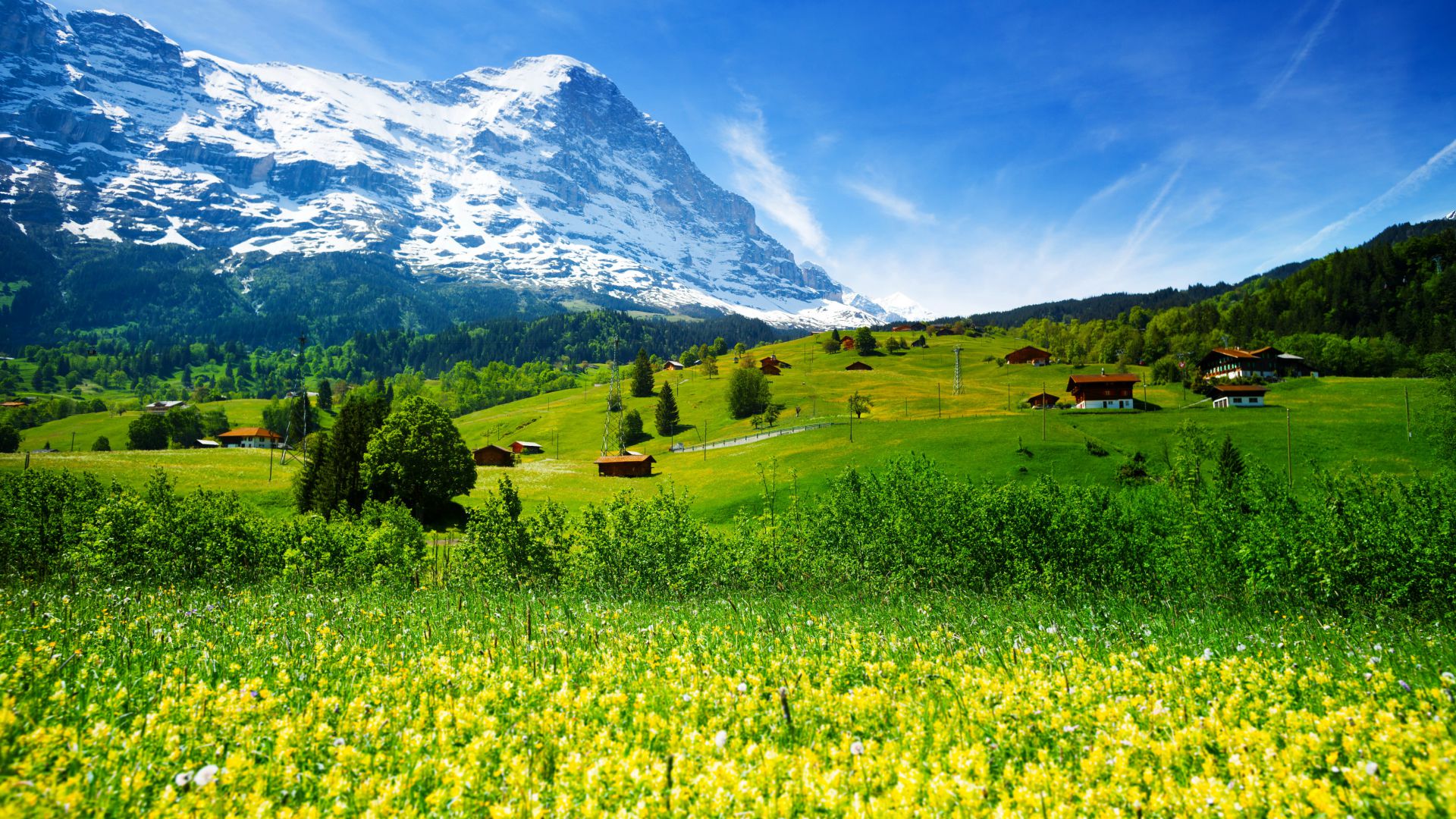 Switzerland, 5k, 4k wallpaper, mountains, meadows, wildflowers (horizontal)
