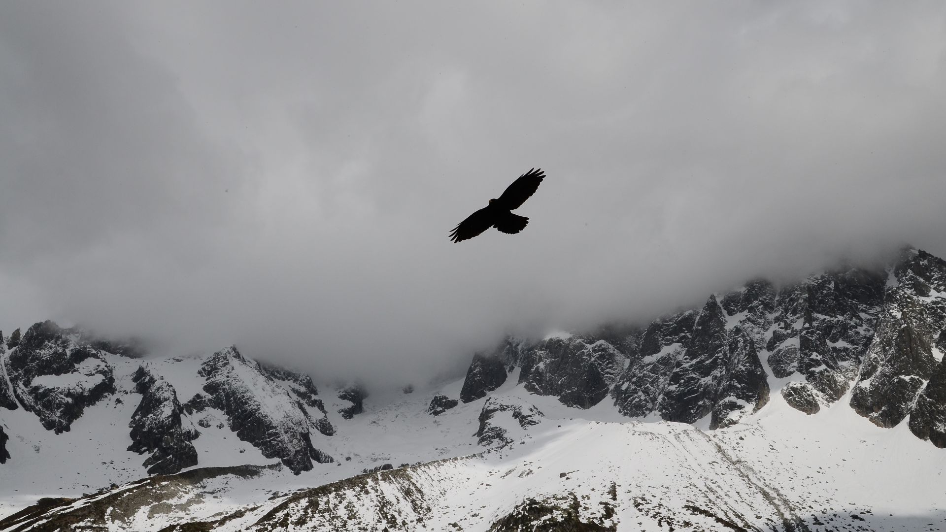 Eagle, mountains, flight, clouds (horizontal)