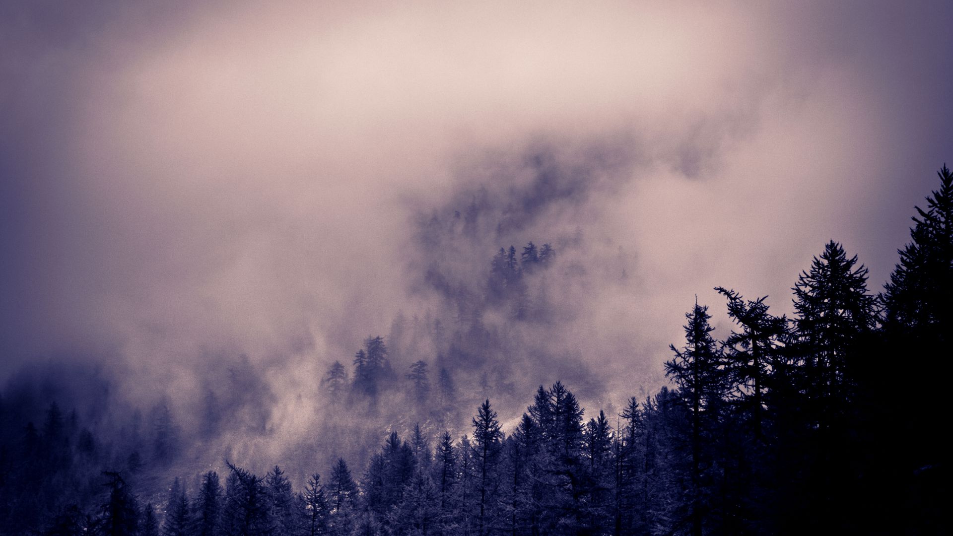 Alps, 5k, 4k wallpaper, 8k, Clouds, forest, pines (horizontal)