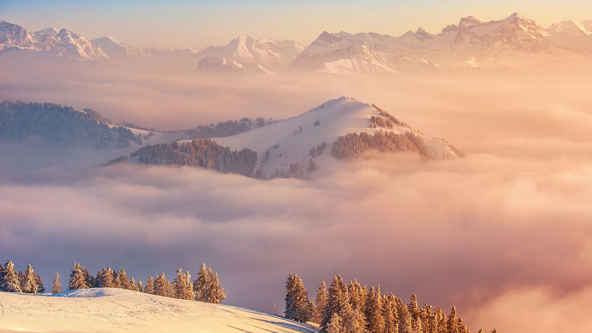 Alps, 5k, 4k wallpaper, Switzerland, mountains, clouds, pines (horizontal)