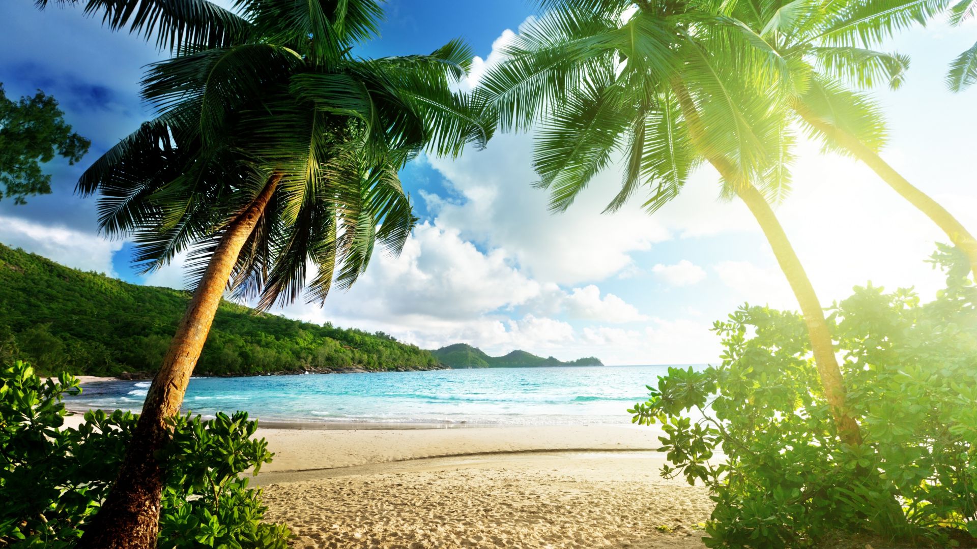 Thailand, 5k, 4k wallpaper, ocean, shore, palms, sun (horizontal)