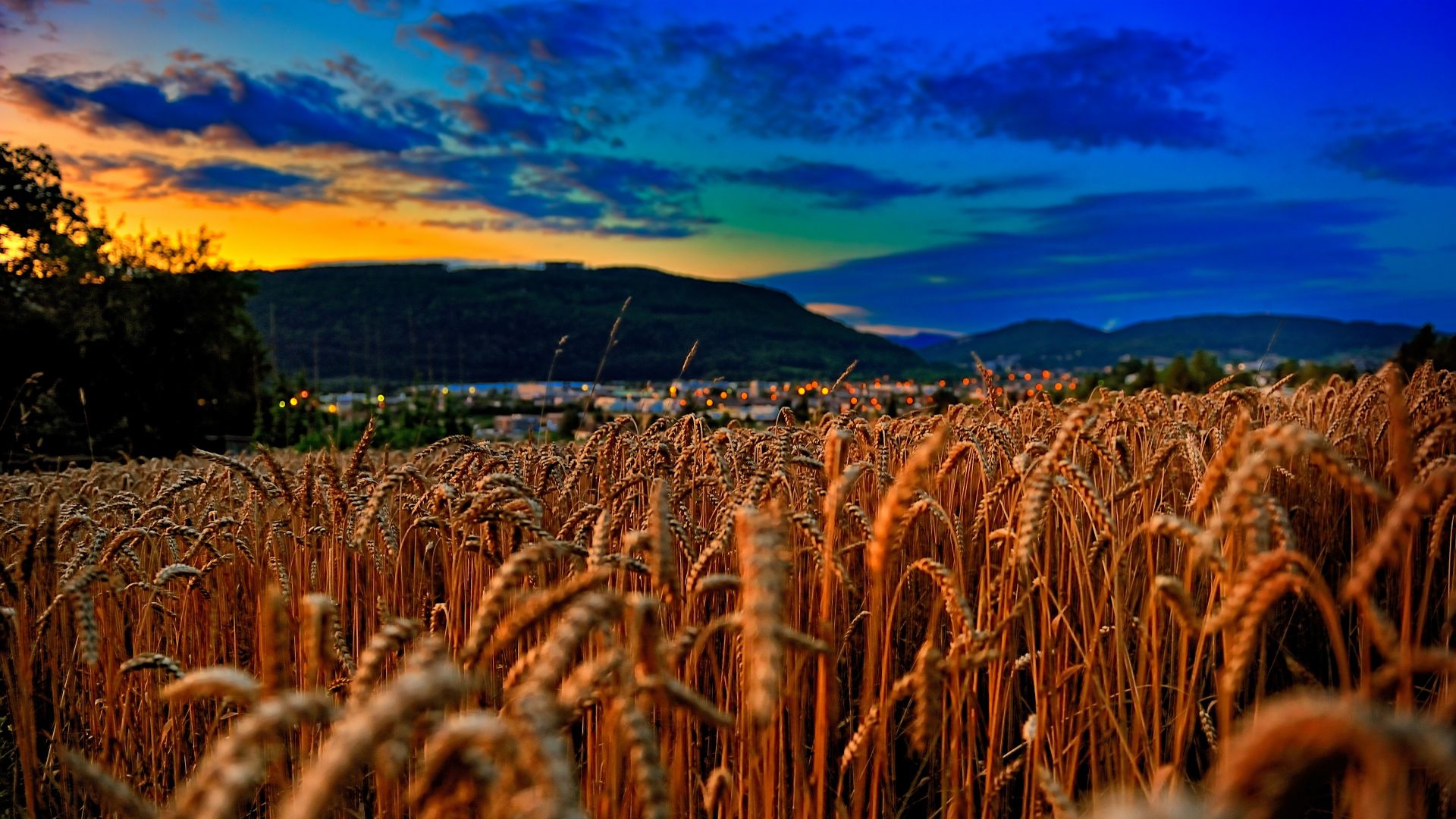 Wheat, 4k, 5k wallpaper, field, sunset, clouds, hills (horizontal)
