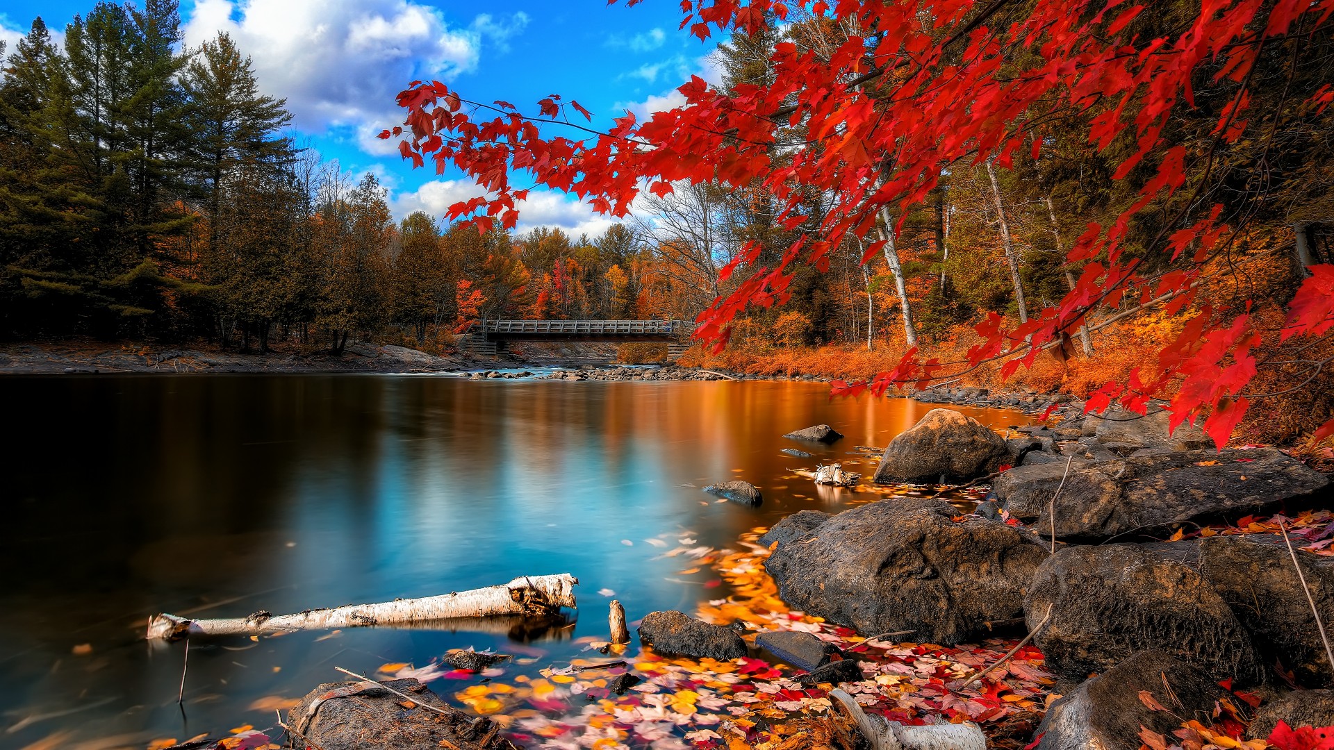 autumn forest, 4k, HD wallpaper, leaves, trees, lake, rocks, beach, bridge, sky, clouds (horizontal)