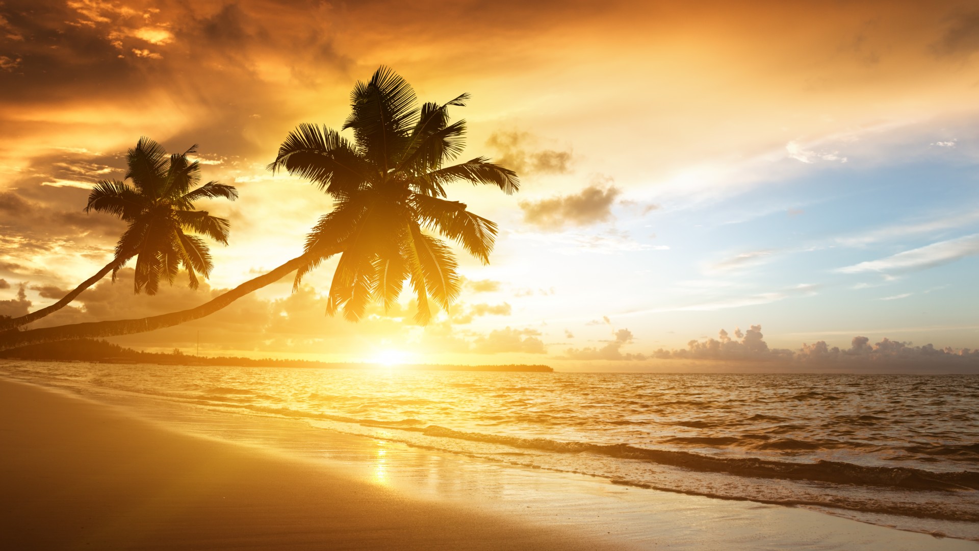 beach, 5k, 4k wallpaper, ocean, sunset, palm trees, vacation, journey (horizontal)