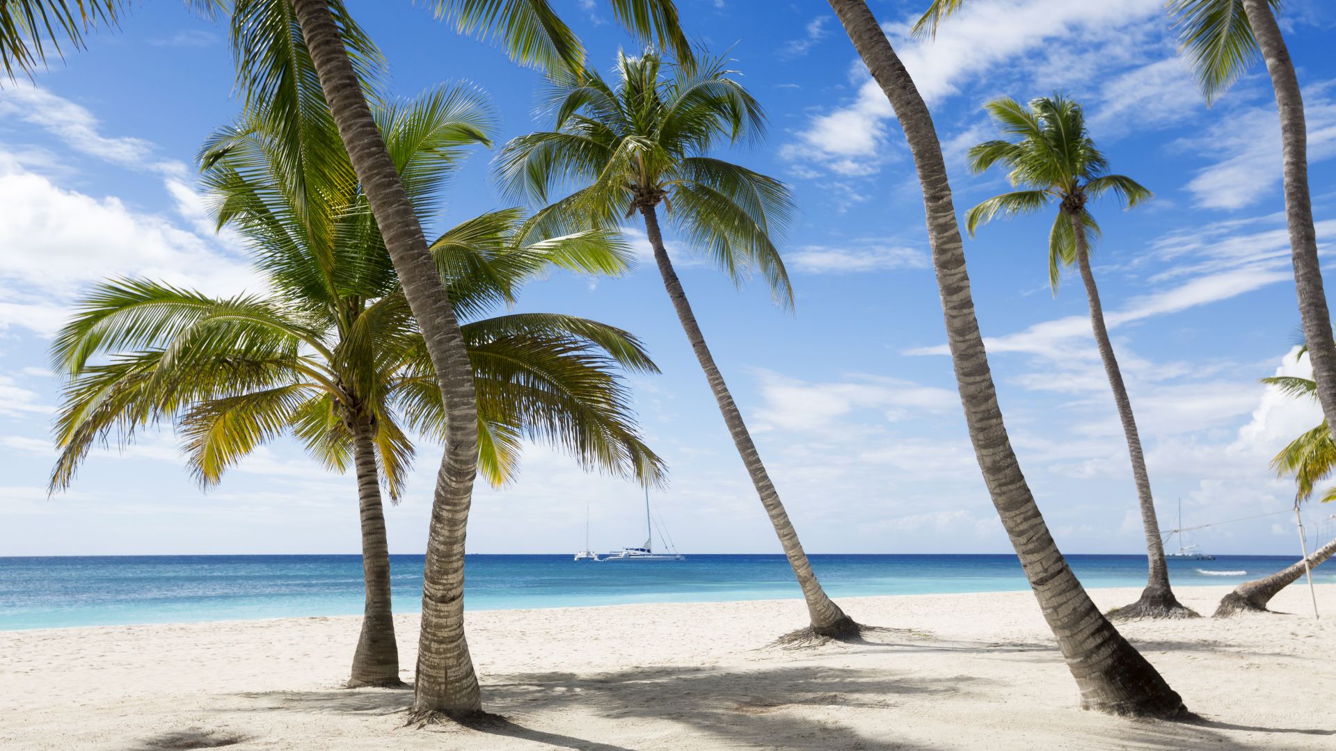Jamaika, 5k, 4k wallpaper, The Caribbean, beach, palms, sky, travel, tourism (horizontal)
