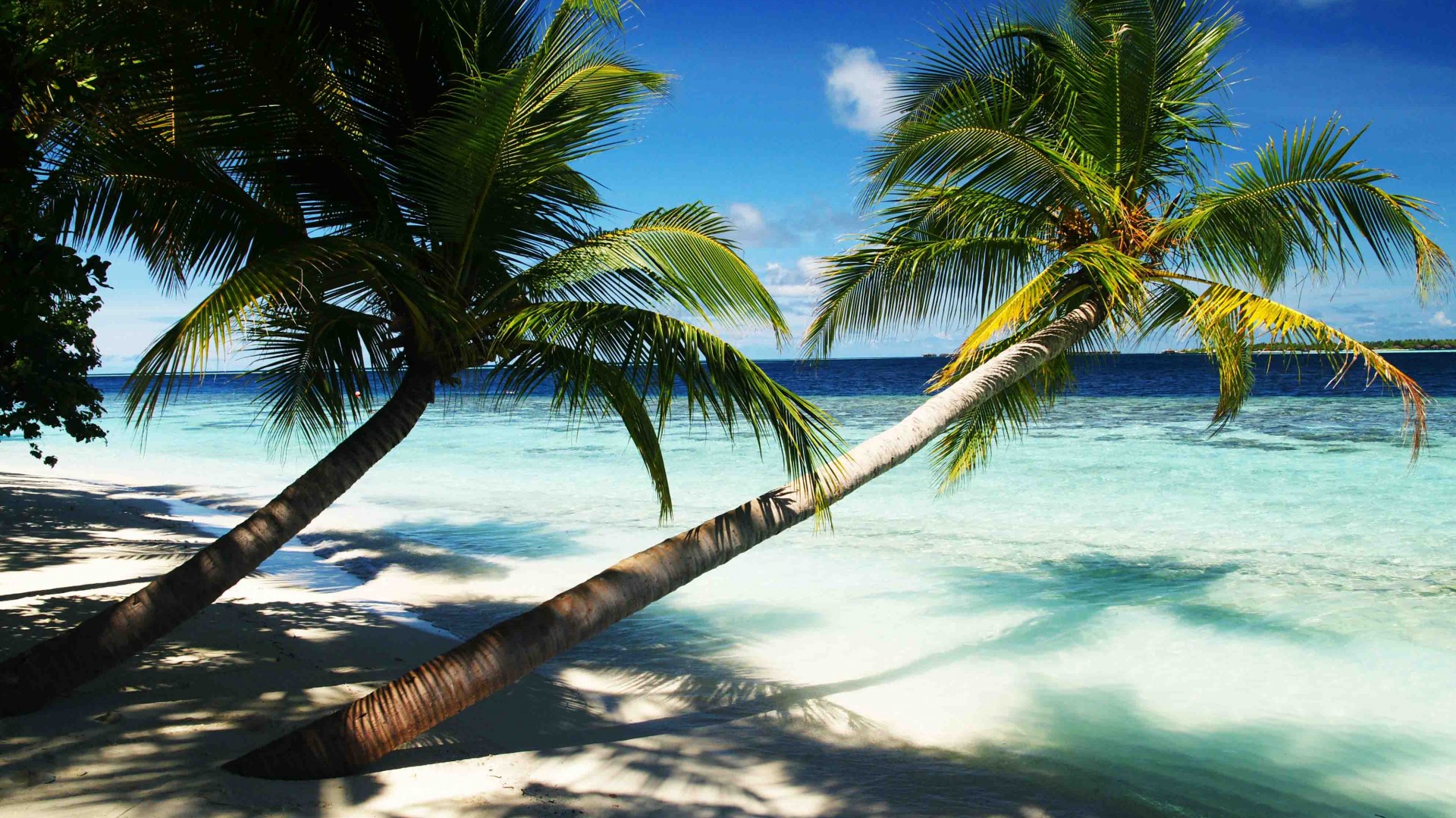 Maldives, 4k, 5k wallpaper, holidays, palms, paradise, vacation, travel, hotel, island, ocean, bungalow, beach, sky (horizontal)
