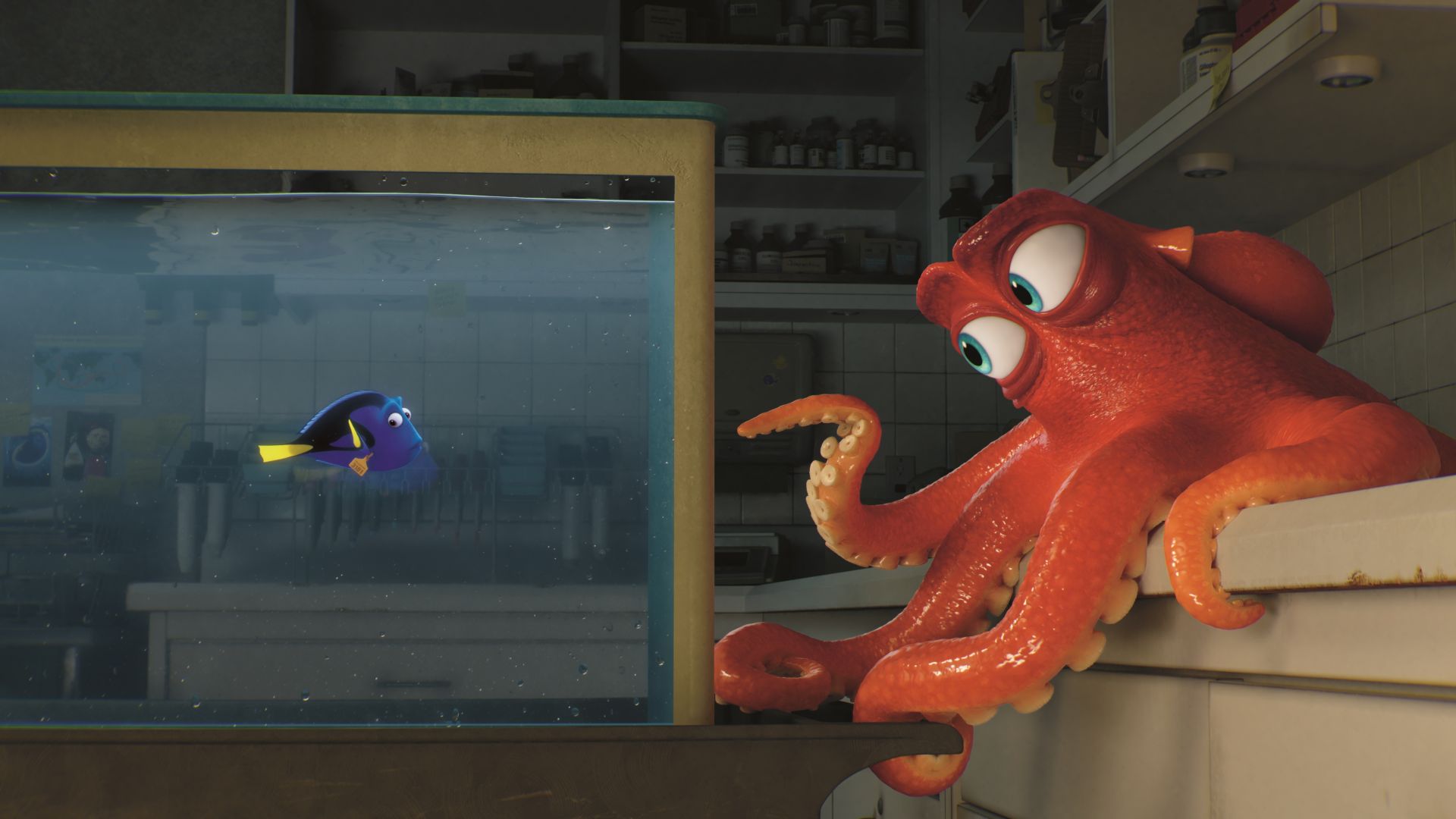 Finding Dory, nemo, fish, Pixar, animation (horizontal)