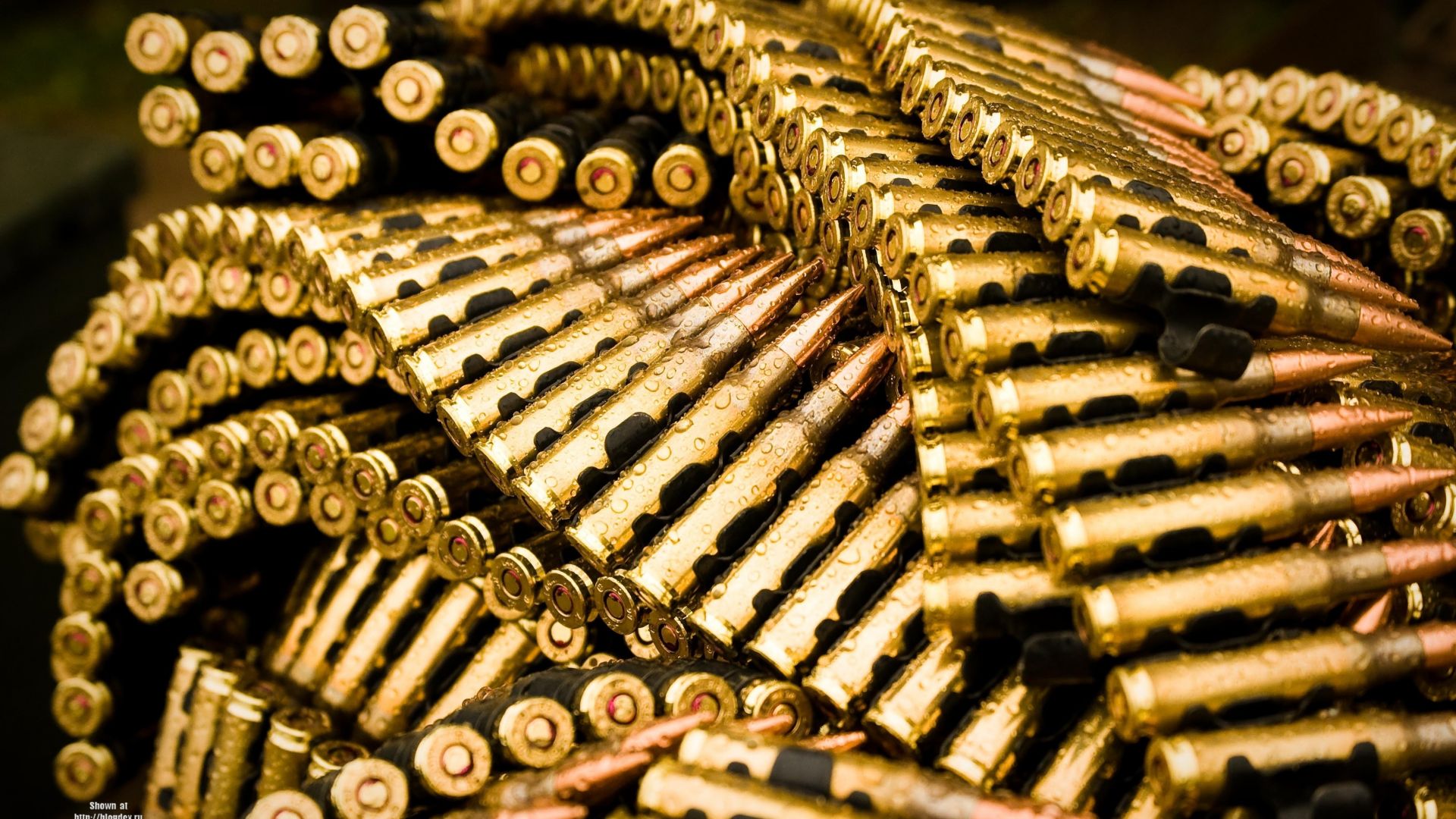 Gold bullets (horizontal)