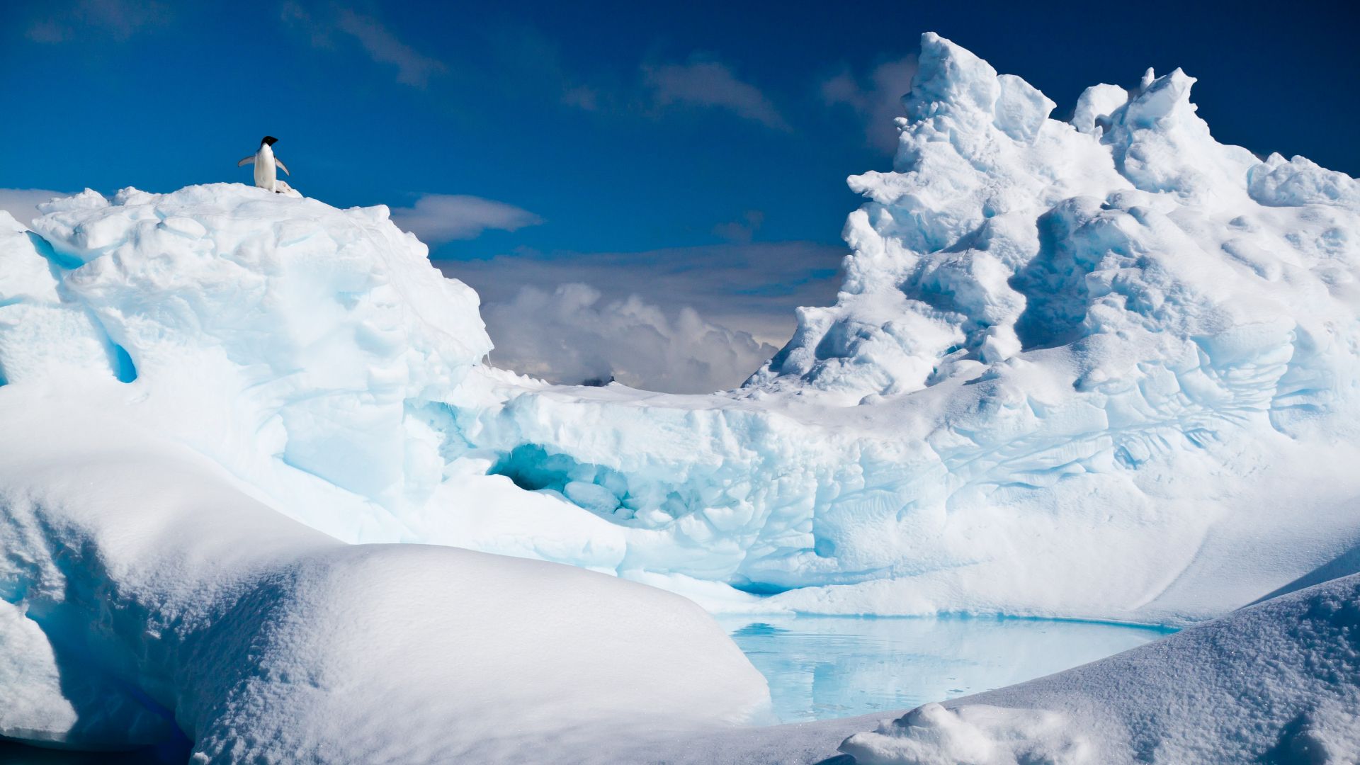 Antarctica, penguin, iceberg, snow (horizontal)