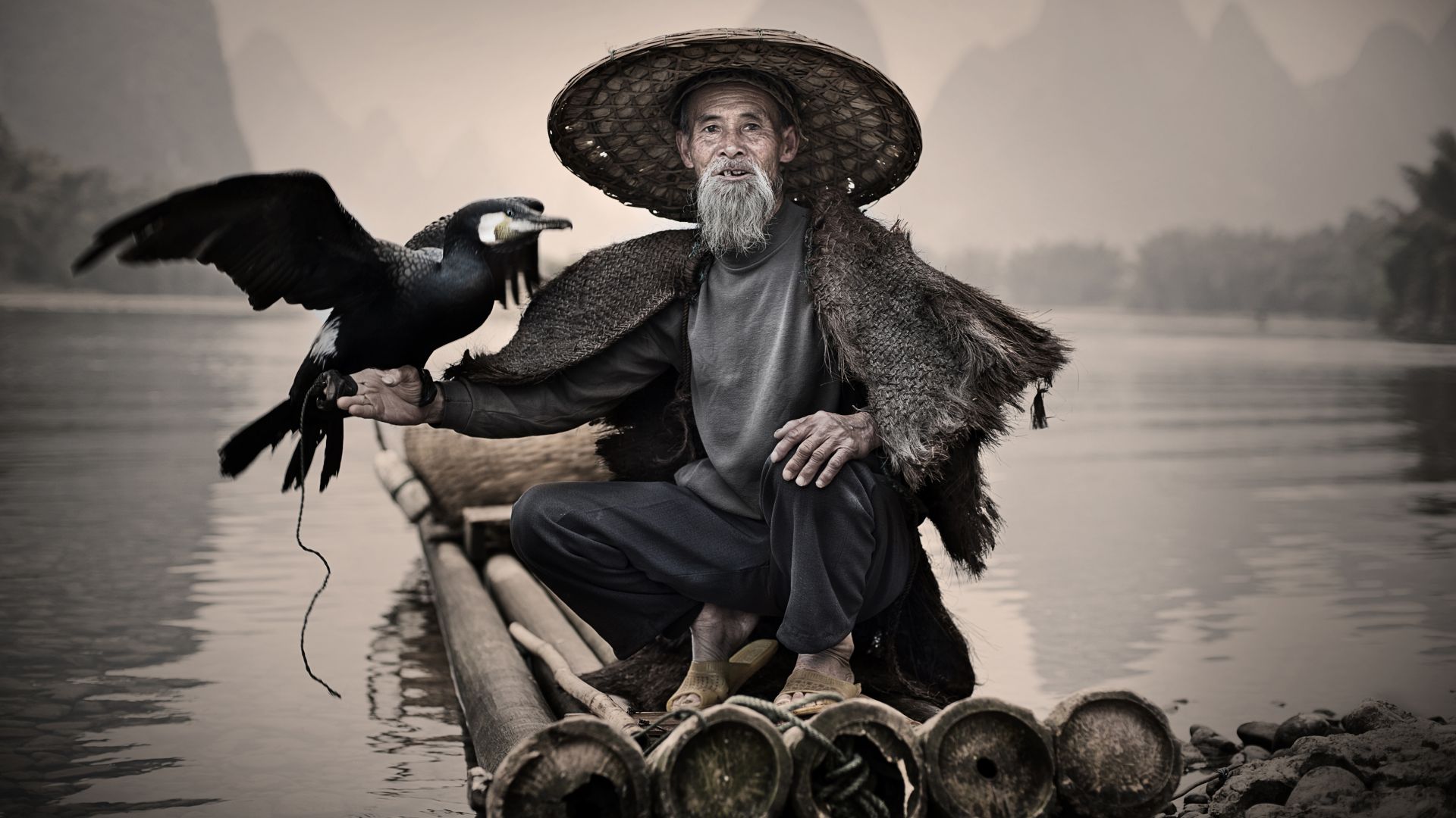 Cormorant, Li-River, Xingping, China, fishing village, bird, National Geographic Traveler Photo Contest (horizontal)