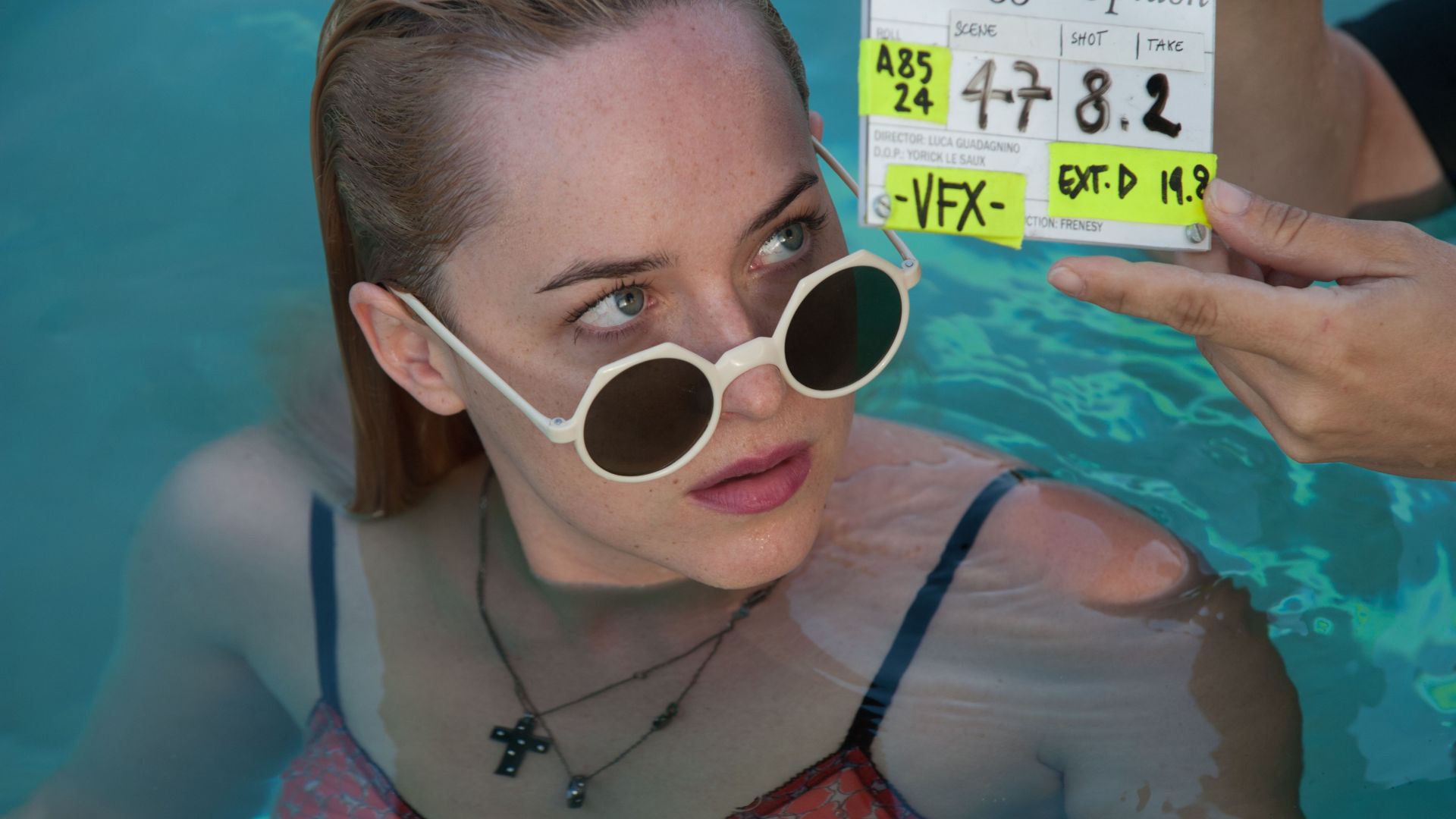 A Bigger Splash, Dakota Johnson, Best Movies of 2016 (horizontal)
