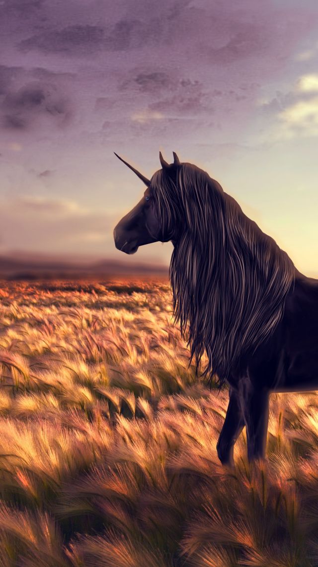 unicorn, horse, nature, black (vertical)