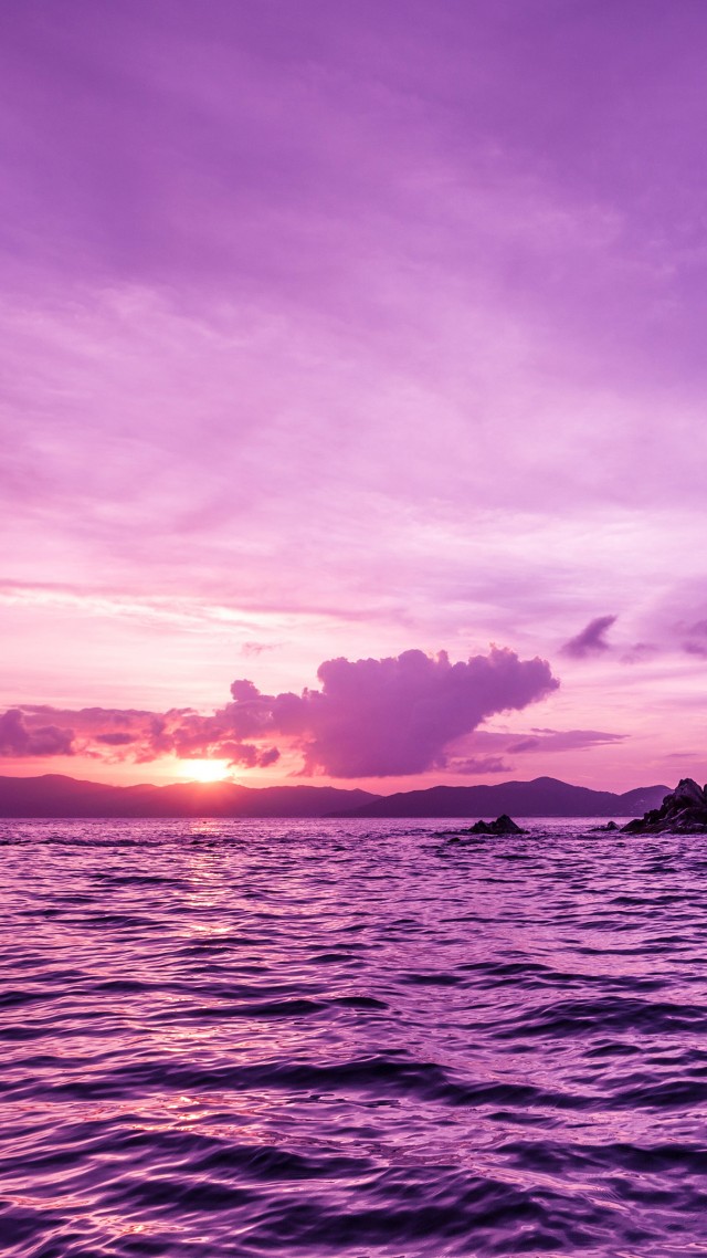 Pelican island, sunset, purple (vertical)