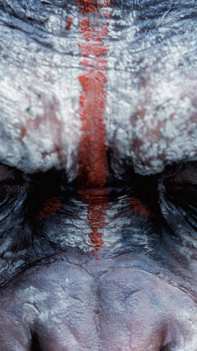 War for the Planet of the Apes, ape, 4k (vertical)