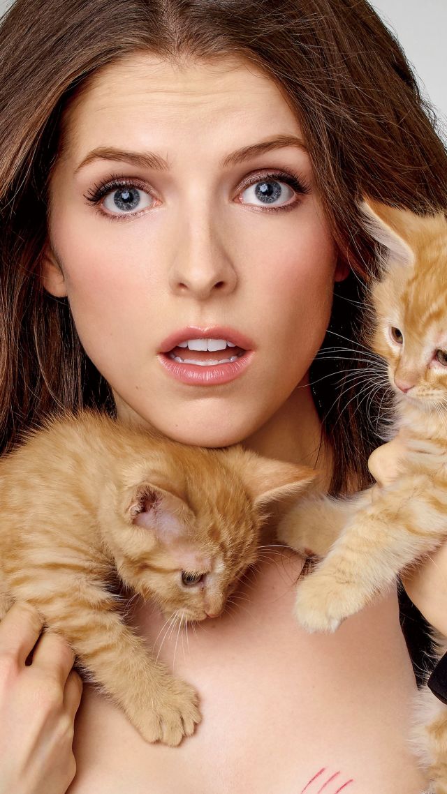 Anna Kendrick, kittens, cats, Top Fashion Models, model, actress (vertical)