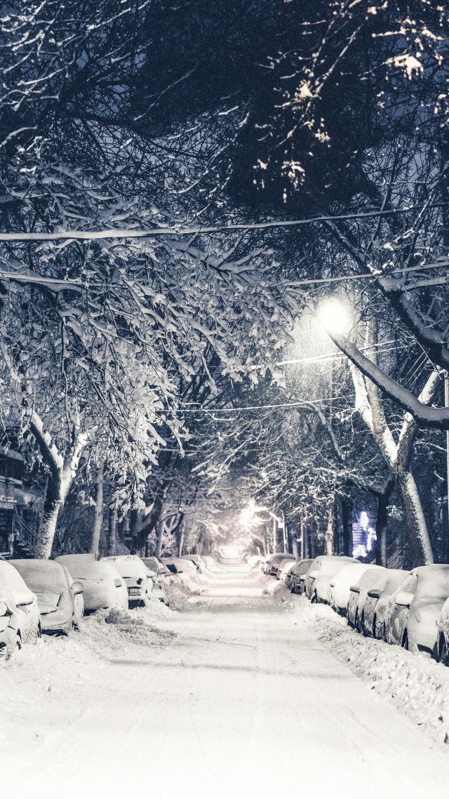 New York, winter, 4k, 5k, snow, street (vertical)