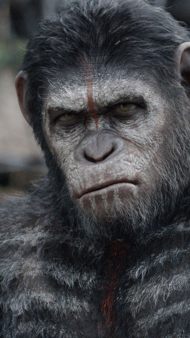 War for the Planet of the Apes, 4k, 5k (vertical)