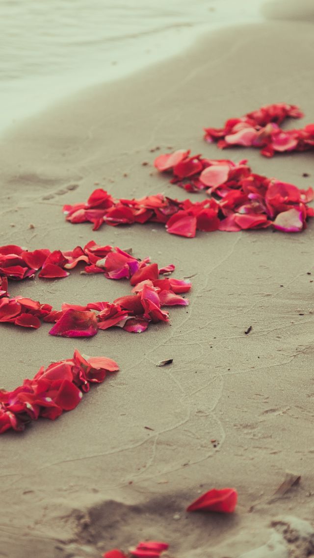 love image, heart, 5k, beach, sea, flowers (vertical)