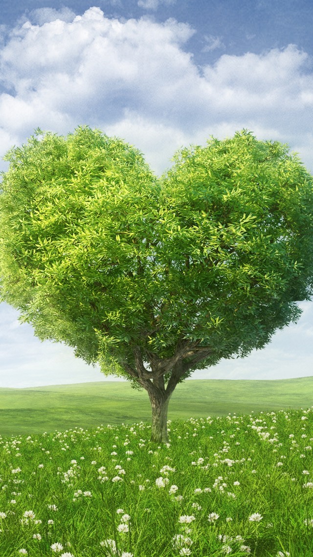 love image, heart, tree, 5k (vertical)