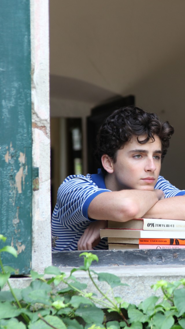 Call Me by Your Name, Timothee Chalamet, 5k (vertical)