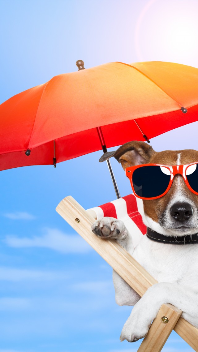 Dog, 5k, 4k wallpaper, 8k, puppy, sun, summer, beach, sunglasses, umbrella, vacation, animal, pet, sky (vertical)