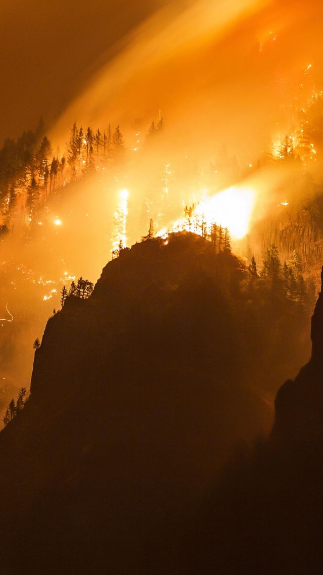Columbia Gorge, forest, fire, 4k (vertical)