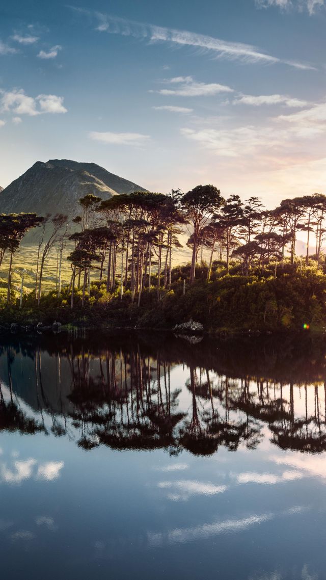 Ireland, lake, mountains, tree, sunrise, 4k (vertical)