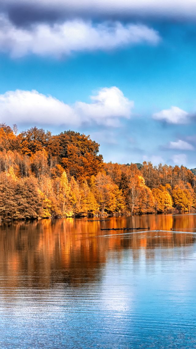 Autumn, lake, forest, 5k (vertical)