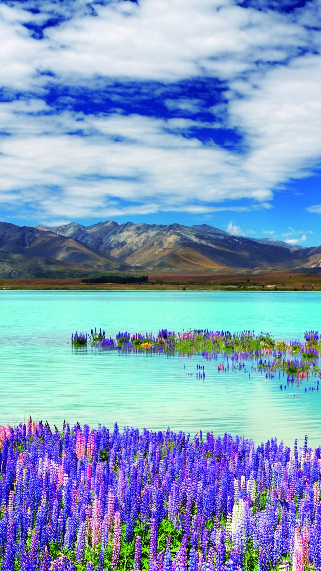 New Zealand, river, mountains, flowers, clouds, 4k (vertical)