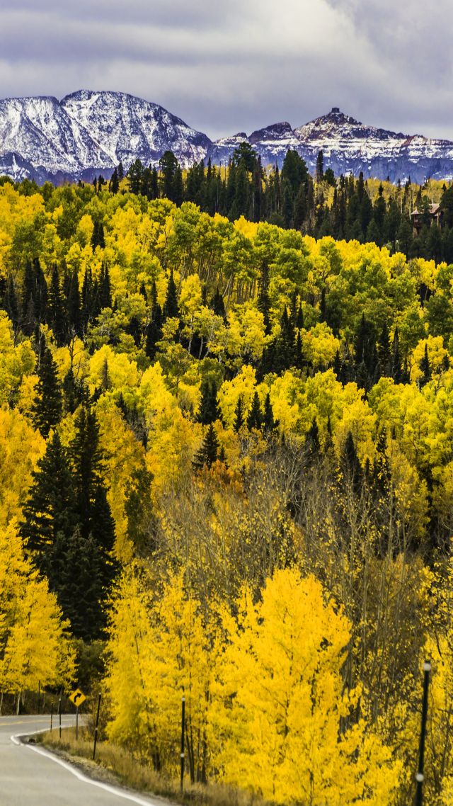 autumn, forest, trees, mountains, road, Colorado, USA, 5k (vertical)