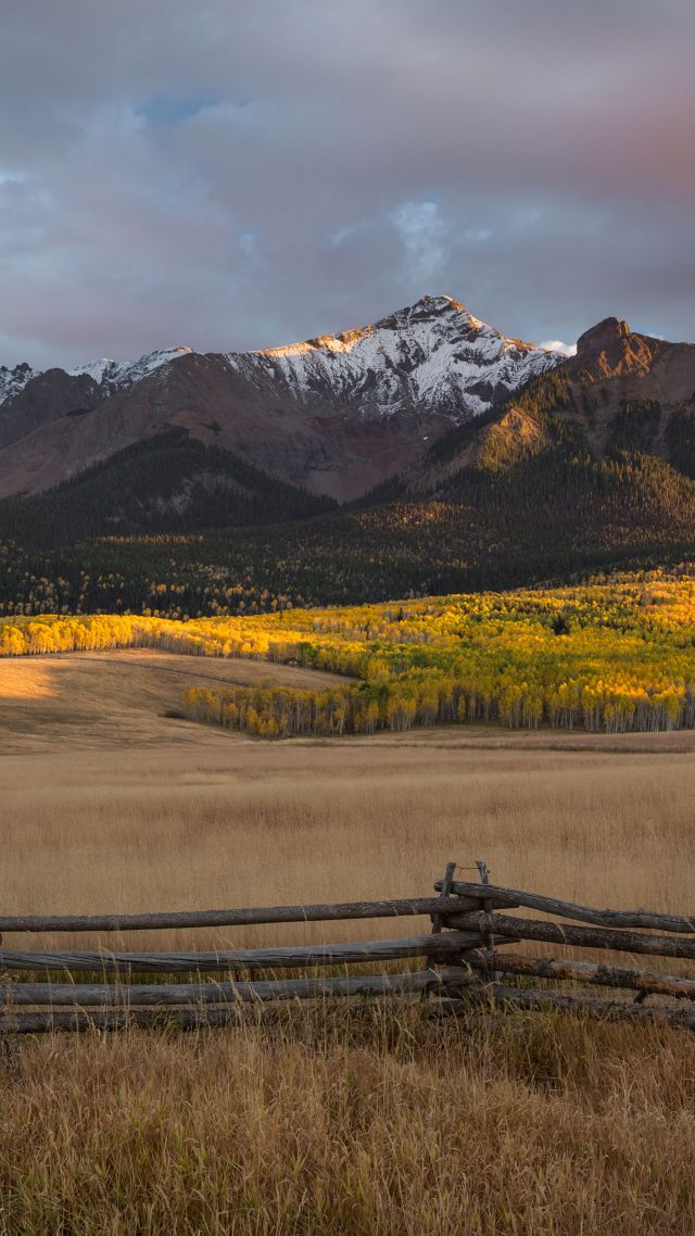 field, mountains, USA, Colorado, 4k (vertical)