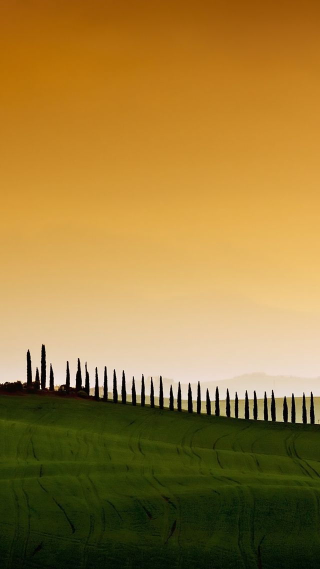 Tuscany, Italy, Europe, sky, field, 5k (vertical)