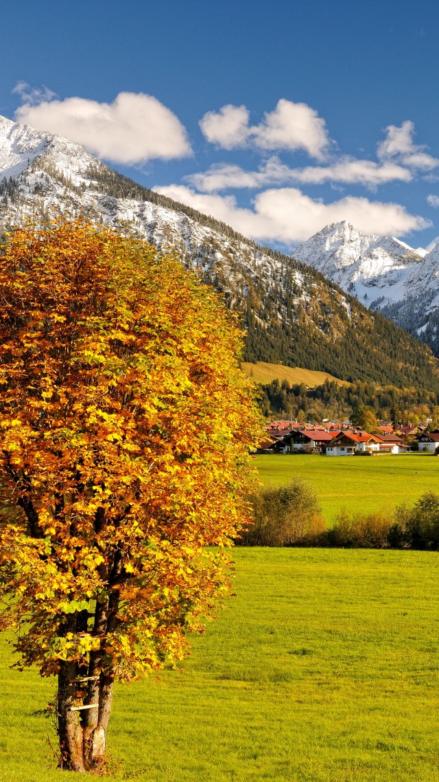 Allgaeu, Germany, Europe, mountains, autumn, tree, 5k (vertical)