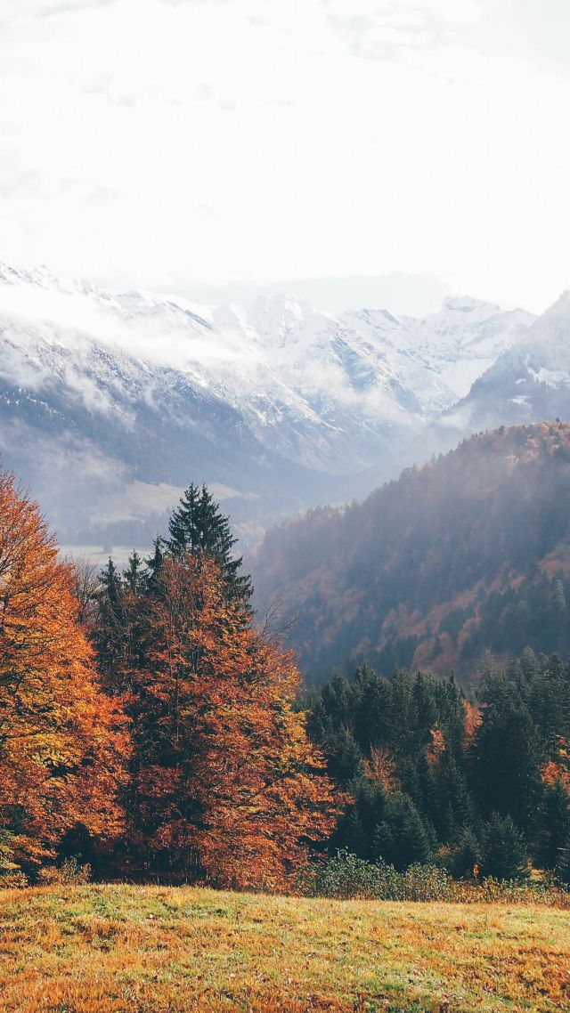 Oberstdorf, Germany, mountains, autumn, forest, 4k (vertical)