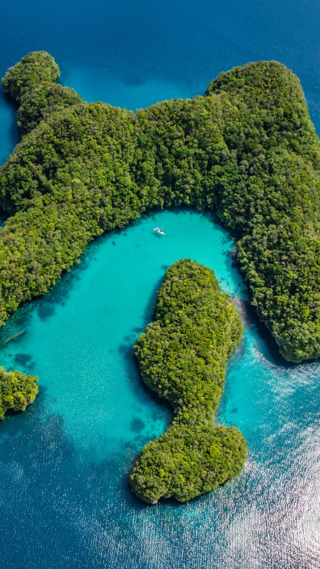 Palau, Philippines, ocean, islands, 8k (vertical)