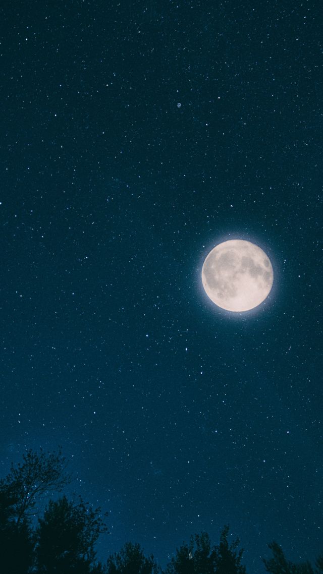 night, sky, moon, stars, forest, 4k (vertical)