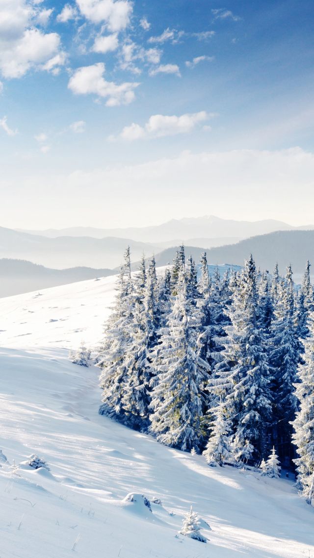mountains, forest, trees, snow, winter, 4k (vertical)