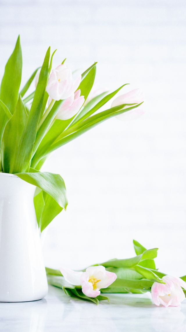 flowers, tulips, vase, 5k (vertical)
