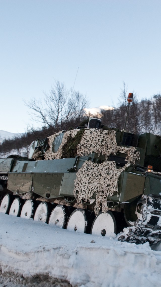 Leopard 2, 2a6m, 2A5, MBT, tank, Norway, forest, camo, winter (vertical)
