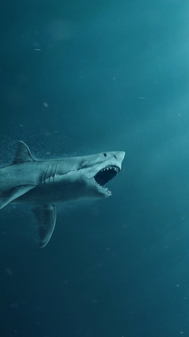The Meg, shark, diver, 4K (vertical)