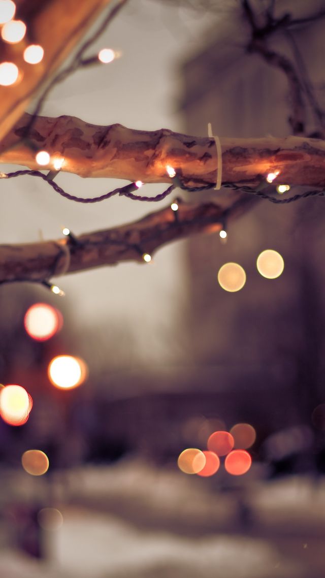 tree, lights, winter, 4K (vertical)