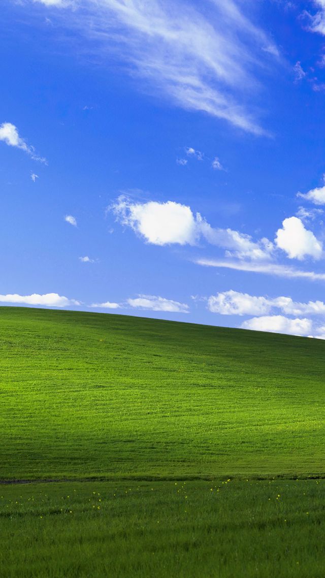 Windows XP, bliss, Microsoft, 4K (vertical)