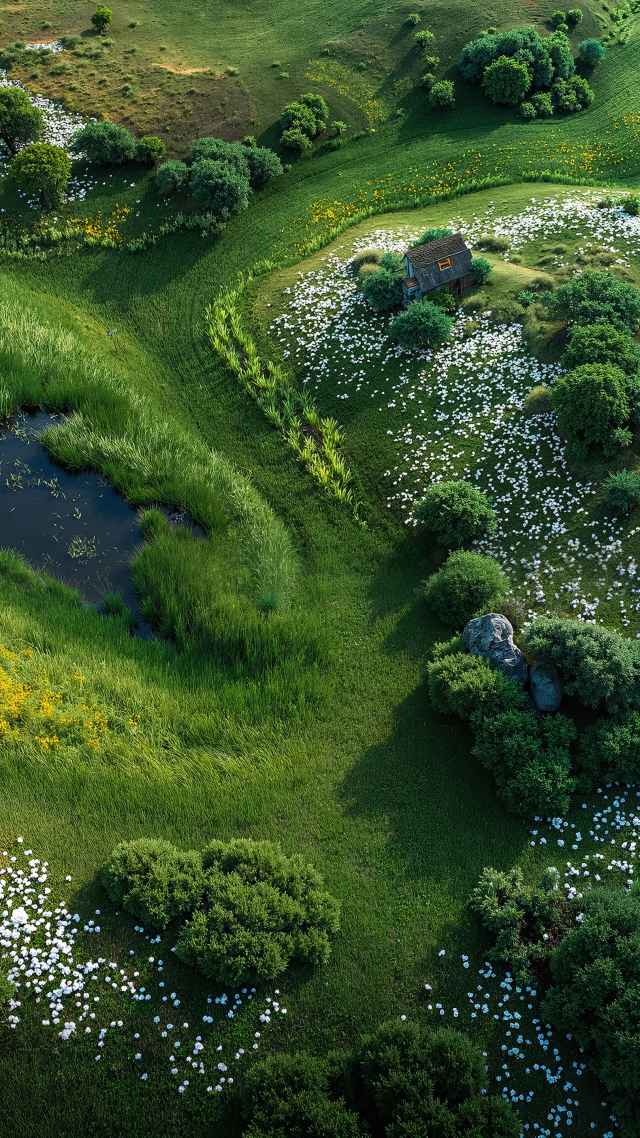 nature awakening wallpaper, green growth, sunny, background for mobile wallpaper (vertical)